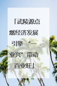 武陵源点燃经济发展引擎 “一业兴”带动百业旺