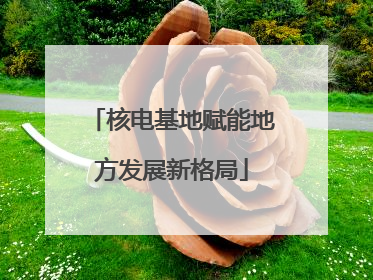 核电基地赋能地方发展新格局