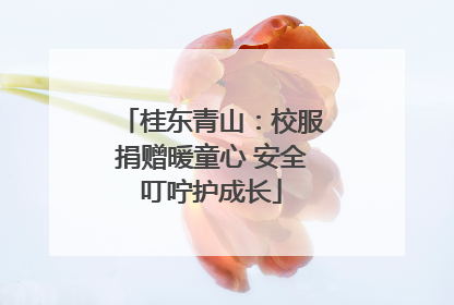 桂东青山：校服捐赠暖童心 安全叮咛护成长