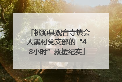 桃源县观音寺镇会人溪村党支部的“48小时”救援纪实