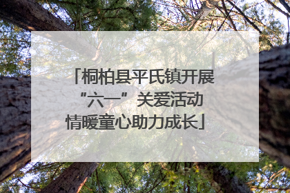 桐柏县平氏镇开展“六一”关爱活动 情暖童心助力成长