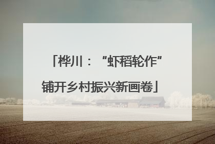 桦川：“虾稻轮作”铺开乡村振兴新画卷