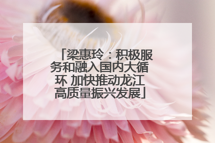 梁惠玲：积极服务和融入国内大循环 加快推动龙江高质量振兴发展