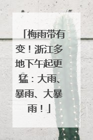 梅雨带有变！浙江多地下午起更猛：大雨、暴雨、大暴雨！
