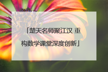 楚天名师聚江汉 重构数学课堂深度创新