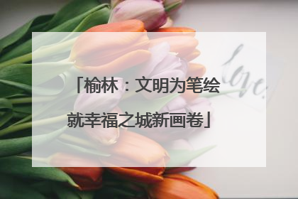 榆林：文明为笔绘就幸福之城新画卷