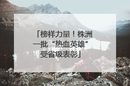 榜样力量！株洲一批“热血英雄”受省级表彰