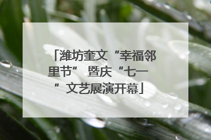 潍坊奎文“幸福邻里节” 暨庆“七一”文艺展演开幕