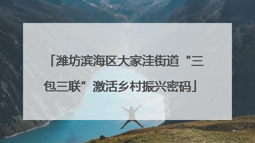 潍坊滨海区大家洼街道“三包三联”激活乡村振兴密码
