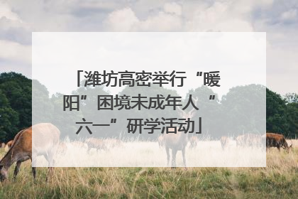 潍坊高密举行“暖阳”困境未成年人“六一”研学活动