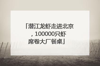 潜江龙虾走进北京，100000只虾席卷大厂餐桌
