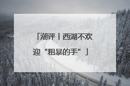 潮评丨西湖不欢迎“粗暴的手”