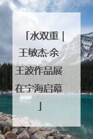 水双重｜王敏杰·余王波作品展在宁海启幕