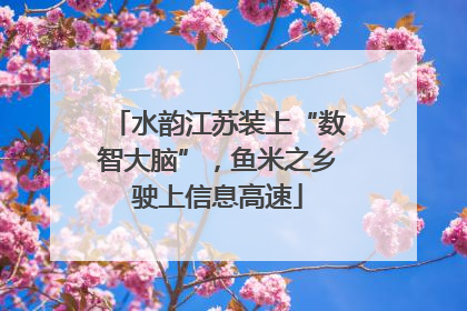 水韵江苏装上“数智大脑”，鱼米之乡驶上信息高速