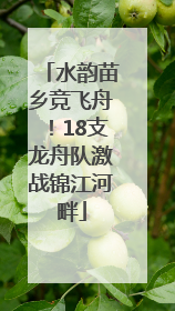 水韵苗乡竞飞舟！18支龙舟队激战锦江河畔