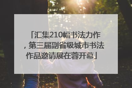 汇集210幅书法力作，第三届副省级城市书法作品邀请展在蓉开幕