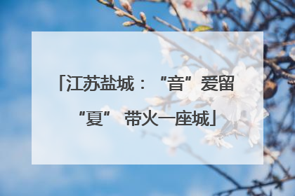 江苏盐城：“音”爱留“夏” 带火一座城