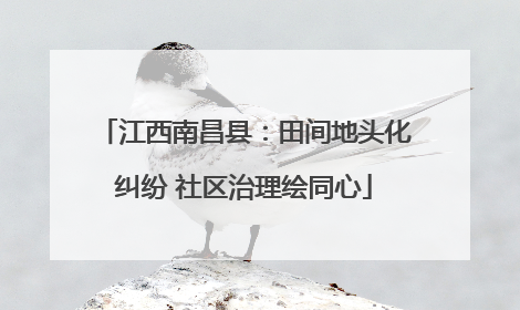 江西南昌县：田间地头化纠纷 社区治理绘同心