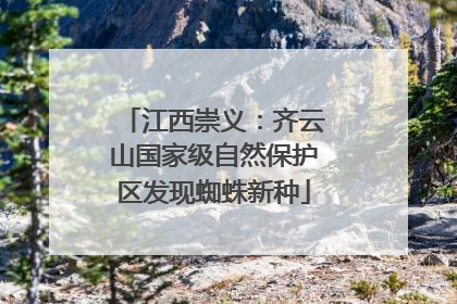 江西崇义：齐云山国家级自然保护区发现蜘蛛新种