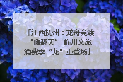 江西抚州：龙舟竞渡“嗨翻天” 临川文旅消费季“龙”重登场