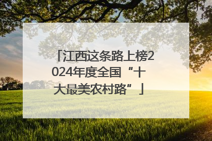 江西这条路上榜2024年度全国“十大最美农村路”