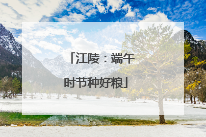 江陵：端午时节种好粮