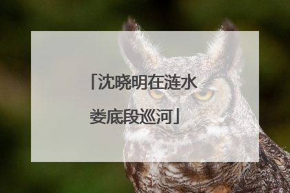 沈晓明在涟水娄底段巡河