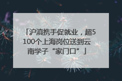 沪滇携手促就业，超5100个上海岗位送到云南学子“家门口”