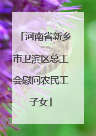 河南省新乡市卫滨区总工会慰问农民工子女