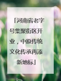 河南省老字号集聚街区开业，中原传统文化传承再添新地标