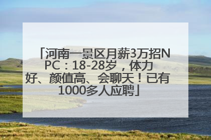 河南一景区月薪3万招NPC：18-28岁，体力好、颜值高、会聊天！已有1000多人应聘