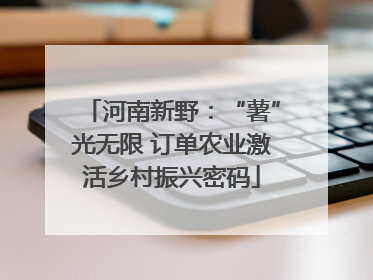 河南新野：“薯”光无限 订单农业激活乡村振兴密码