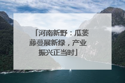 河南新野：瓜蒌藤蔓展新绿，产业振兴正当时