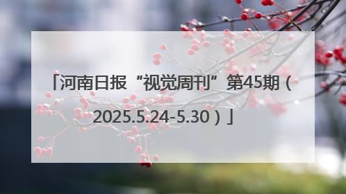 河南日报“视觉周刊”第45期（2025.5.24-5.30）
