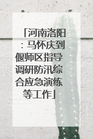 河南洛阳：马怀庆到偃师区指导调研防汛综合应急演练等工作
