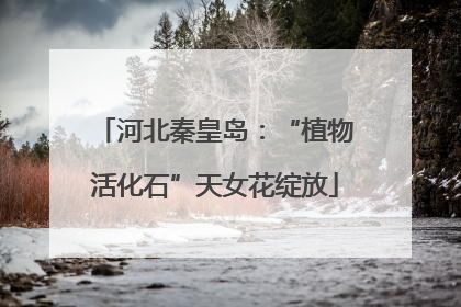 河北秦皇岛：“植物活化石”天女花绽放