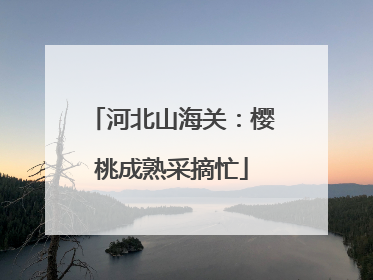 河北山海关：樱桃成熟采摘忙