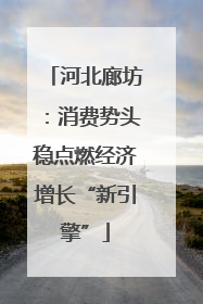 河北廊坊：消费势头稳点燃经济增长“新引擎”