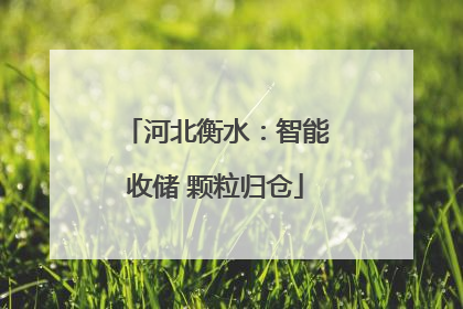 河北衡水：智能收储 颗粒归仓