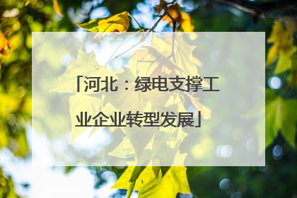 河北：绿电支撑工业企业转型发展