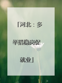 河北：多举措稳岗促就业