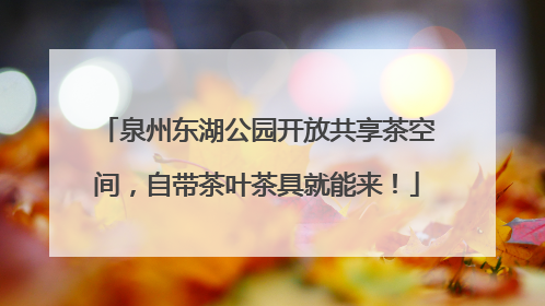泉州东湖公园开放共享茶空间，自带茶叶茶具就能来！