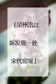 泉州洛江新发现一处宋代窑址