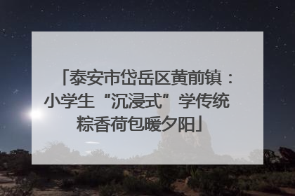 泰安市岱岳区黄前镇：小学生“沉浸式”学传统 粽香荷包暖夕阳