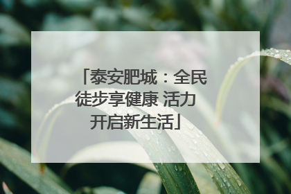 泰安肥城：全民徒步享健康 活力开启新生活