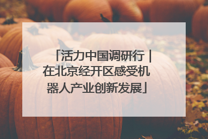 活力中国调研行｜在北京经开区感受机器人产业创新发展