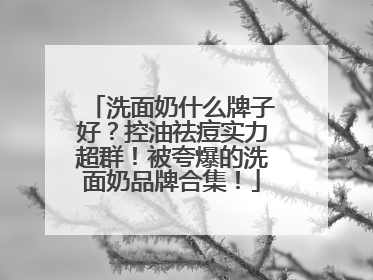 洗面奶什么牌子好？控油祛痘实力超群！被夸爆的洗面奶品牌合集！
