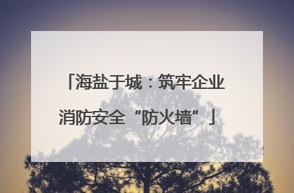 海盐于城：筑牢企业消防安全“防火墙”