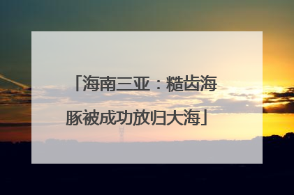 海南三亚：糙齿海豚被成功放归大海