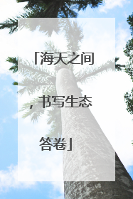 海天之间，书写生态答卷